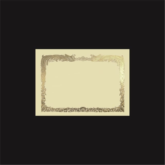 賞状用紙 A4ワイド 金箔 横長 FY