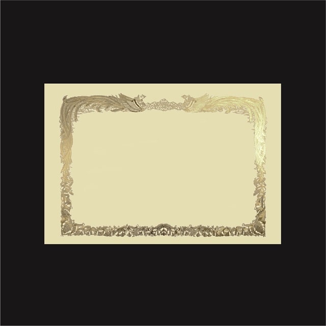 賞状用紙 B4ワイド 金箔 横長 FY