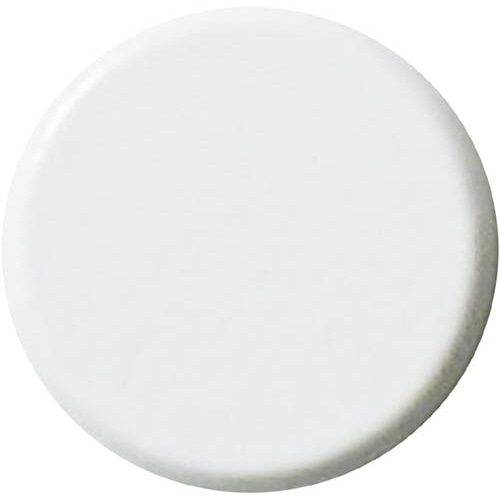 両面強力カラーマグネット　１８ｍｍ　白　１０個入