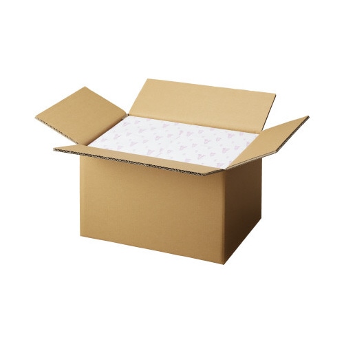 無地ダンボール厚手　Ｎｏ．３－２（底面Ａ３）１０枚