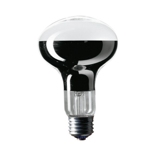 レフ電球（屋内用）　Ｅ２６　１００形