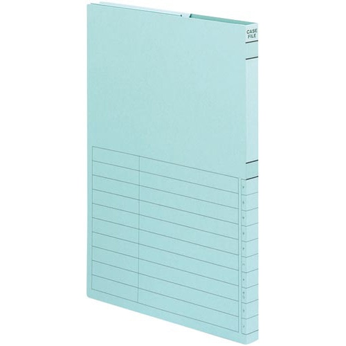 ケースファイル－ＦＳ色板紙Ａ４　青×５冊