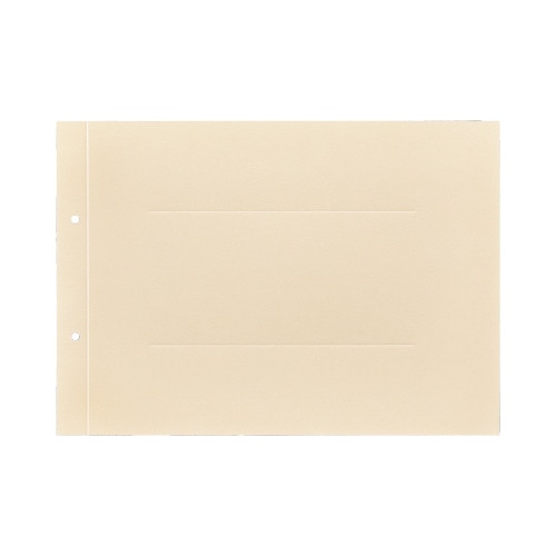 ラベルが剥がしやすい背付板目表紙Ａ４横黄１００組