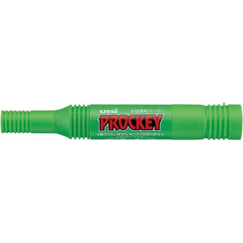 水性マーカー　プロッキー　太・細　黄緑１０本