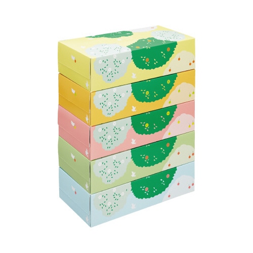 ボックスティシュー　バード柄２００組（５箱入）×４