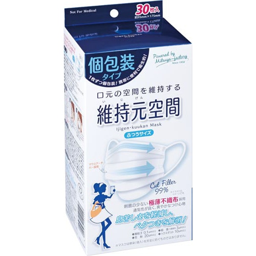 個包装　維持元空間マスク　ふつう　３０枚×３０