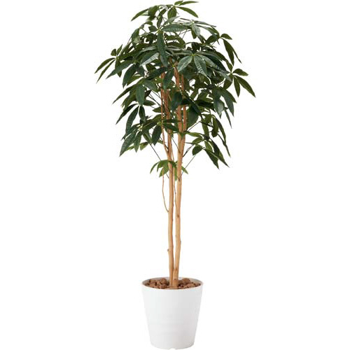 人工植物　パキラツリー　高さ１６００
