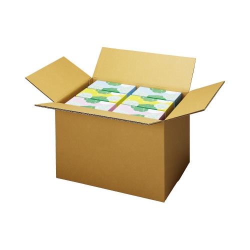 無地ダンボール厚手　Ｎｏ．５－２（底面３Ｌ）６０枚