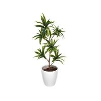 人工観葉植物ソングオブインディアＭサイズ