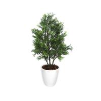 人工観葉植物ティーリーフＭサイズ