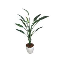 人工観葉植物ストレリチアＬサイズ
