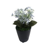 人工観葉植物ブルースキニアミニサイズ