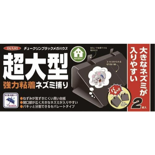 チュークリンブラック　メガハウス　２枚