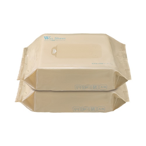 激落ちくん除菌ウェットシート大判タイプ２個入×１０