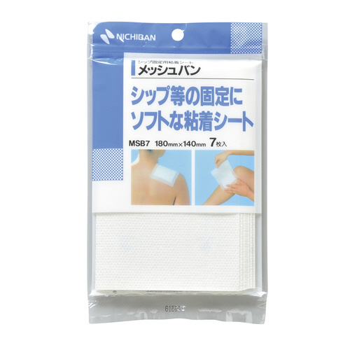 メッシュバン