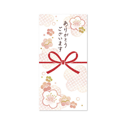 のしふせん　梅乃花　５パック