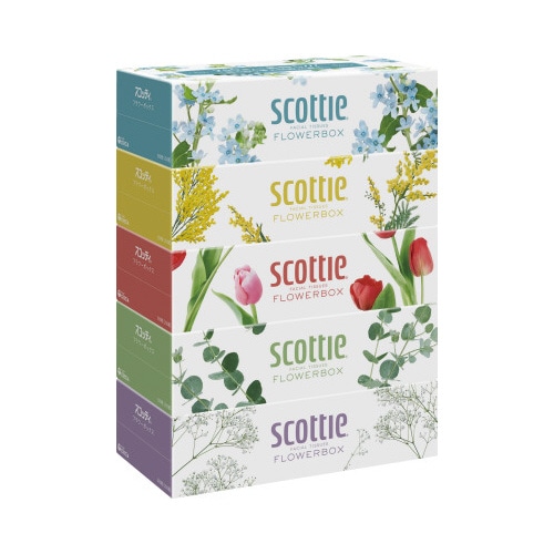 スコッティ　ティシュー　フラワー　２５０組×５箱