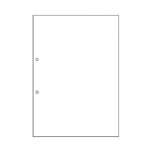 ＦＳＣ（Ｒ）認証プリンタ帳票Ａ４複写白紙１２００枚