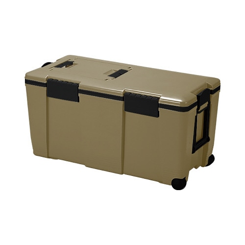 アイセル　＃５５　サンドベージュ