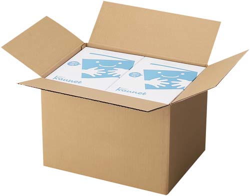 無地ダンボール　Ｎｏ．３－３（底面Ａ３）　１０枚