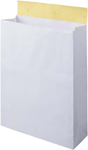 宅配袋　白　大　２５枚