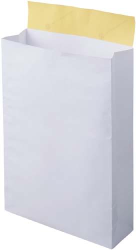 宅配袋　白　小　２５枚