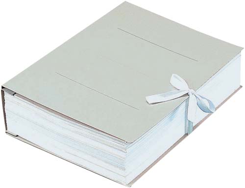 ガバットファイル（紙製）　Ａ４縦　紐付　灰　１０冊