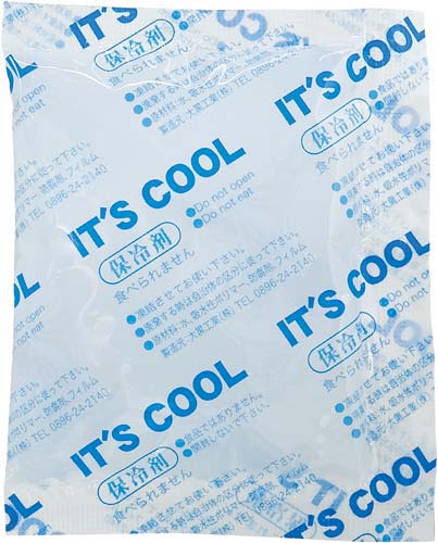 保冷剤３０ｇ　１００個入