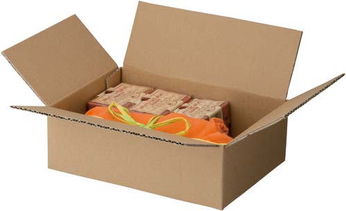 無地小型ダンボール　Ｓ　（底面Ａ５）　１００枚