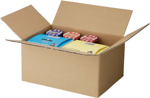 無地小型ダンボール　Ｌ　（底面Ｂ５）　２０枚