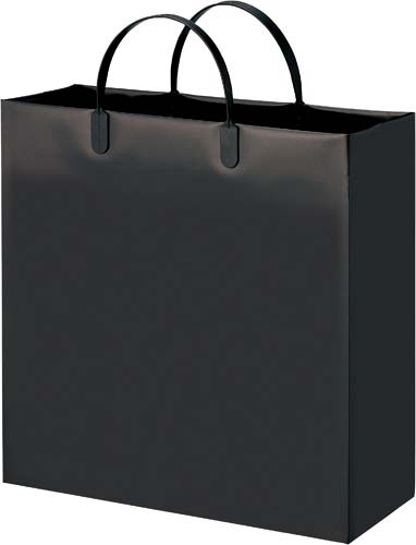 発泡ポリエチレンバッグ　Ｍ　クロ　１０枚×３