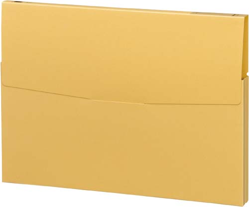 ケースファイル　高級色板紙　Ａ４縦　黄　３０冊