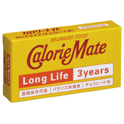 カロリーメイトロングライフ（チョコレート味）６０箱