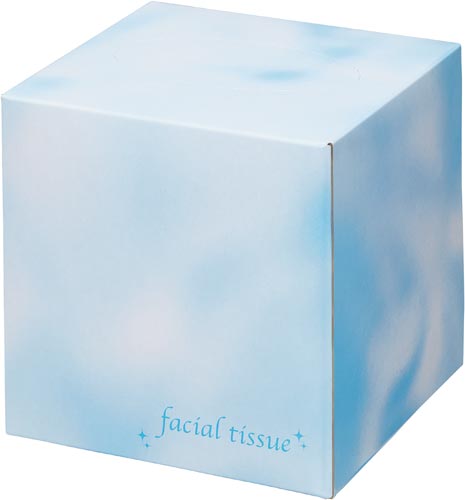 フェイシャルサイコロボックス　８０組×５０