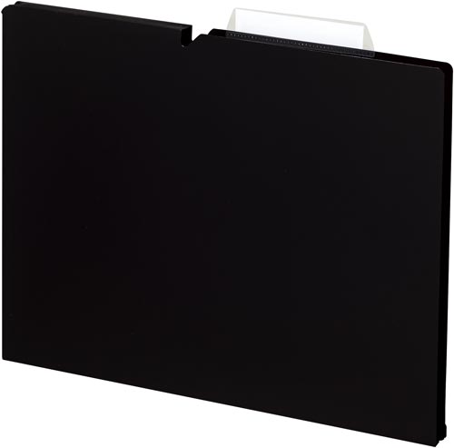 個別フォルダー＜ＮＥＯＳ＞Ａ４　１５ｍｍ黒　１０冊