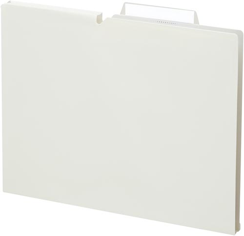 個別フォルダー＜ＮＥＯＳ＞Ａ４　１５ｍｍ白　１０冊