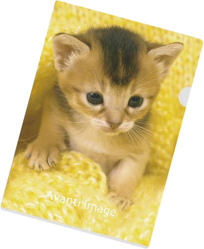 クリヤーホルダーＡ４　アビシニアン　５０セット