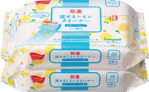 流せるトイレクリーナー大判　ＧＦ　２個入×４