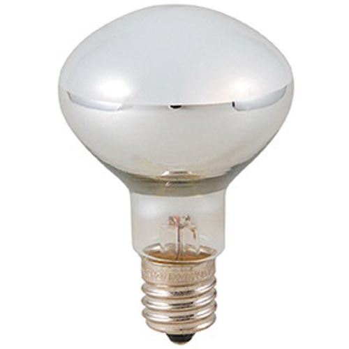 クリプトン球　５０Ｗ形　長寿命　Ｅ１７