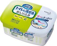 リリーフ　トイレに流せるおしりふき本体２４枚×１２