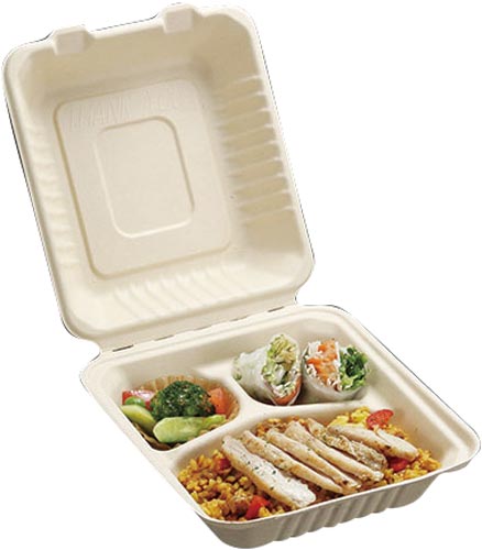 ＢＢランチ２００－２２０－３竹バガス容器５０枚