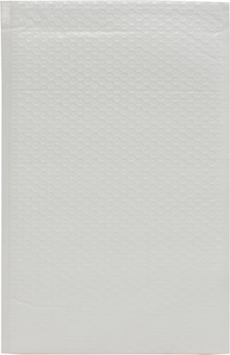 ＰＥクッション封筒　定形外規格内　２５枚入×４