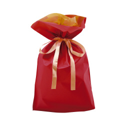 巾着袋　レッド　２４０×３６０＋１２０　１Ｐ