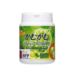 かむかむシャインマスカット　１２０ｇボトル　１個