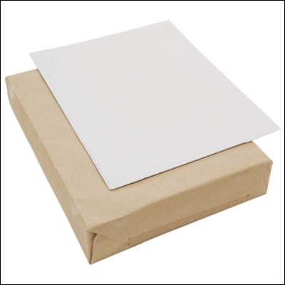 シナップスXM450 350μ　SRA3 200枚入り