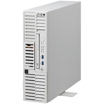 iStorage NS100Tk (Xeon E-2314/8GB/HDD・4.8TB/Windows Server IoT 2022 for Storage Workgroup Edition/タワー)