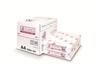 ピンクリボンPPC　Ａ３