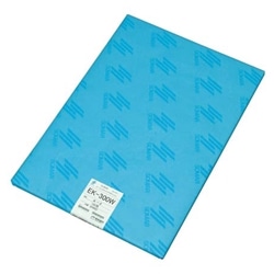 ｴﾙﾏｰ EK-300W A1 100枚