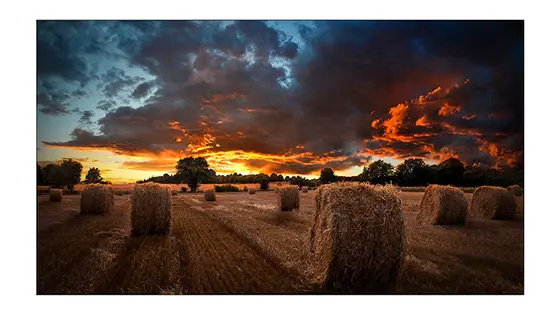 サイネージディスプレイ 46型/1920×1080/HDMI、DVI-D、DisplayPort/ブラック/スピーカー：なし