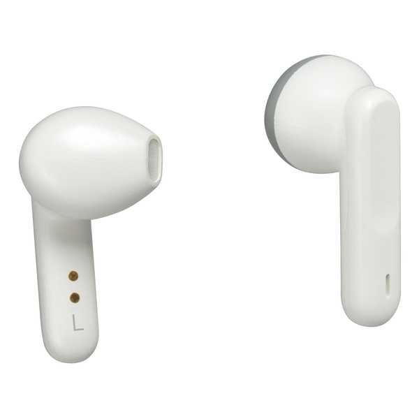 集音器 イヤリスチャージ イヤホン型両耳 インナーイヤータイプ